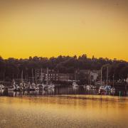 Picture of the week: Golden hour at the River Leven marina