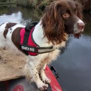 River Clyde-based Underwater sniffer dog retires after eleven years in crucial role