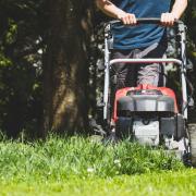 The charity Plantlife is asking people to stop mowing their lawns throughout the month of May as part of the No Mow May campaign