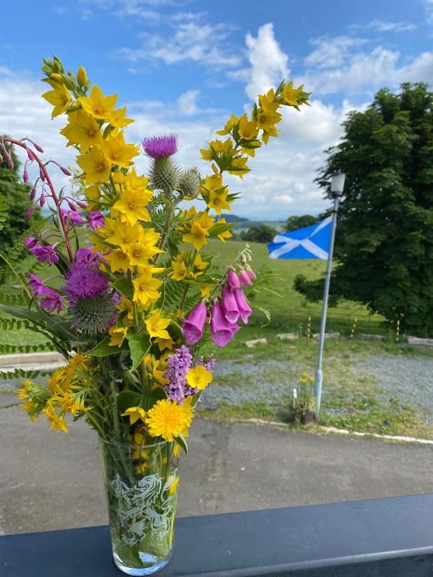 Dumbarton and Vale of Leven Reporter: Wild flowers by Eddie Mcvey