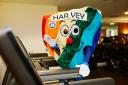 Harvey the Heart is hard at work to break his world record and raise money