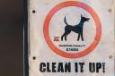 A Tory councillor is pushing for dog poos left uncollected to be DNA tested