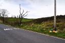 Teenager Ellis Lockley died after the crash on Tarn Lane, a rural road near Braithwaite, at 2.19pm on Sunday, April 28