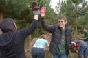 Young adults working in woodland projects