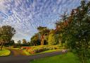 Levengrove Park and Balloch Park made it into the final vote as part of the park protection charity Fields of Trust national contest
