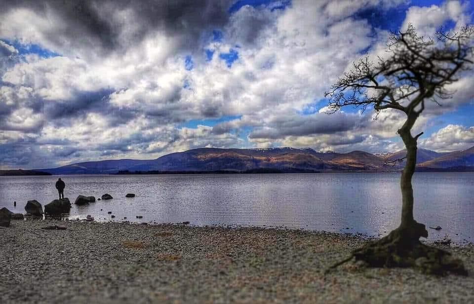 Loch Lomond: Why Milarrochy Bay oak tree is 'one of the most photographed in Scotland'