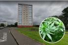Police found a cannabis cultivation at Andrew Hendry's home