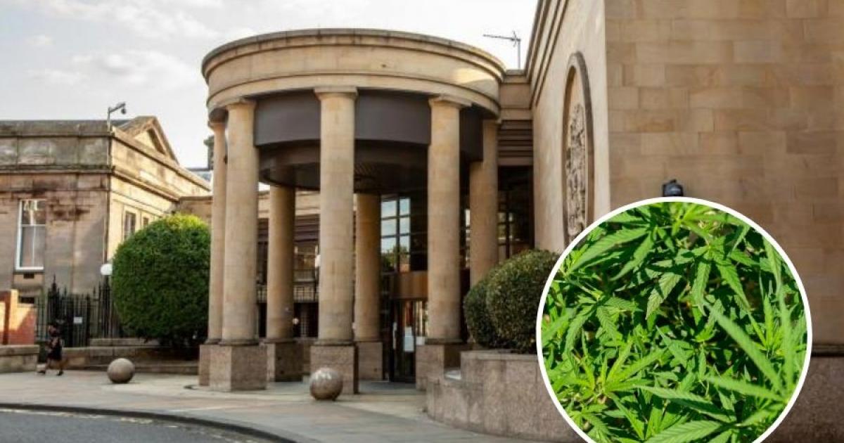 Woman busted for running cannabis farm in quiet Girvan estate - Daily Record