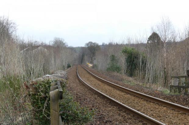 Trees taken away to improve rail safety