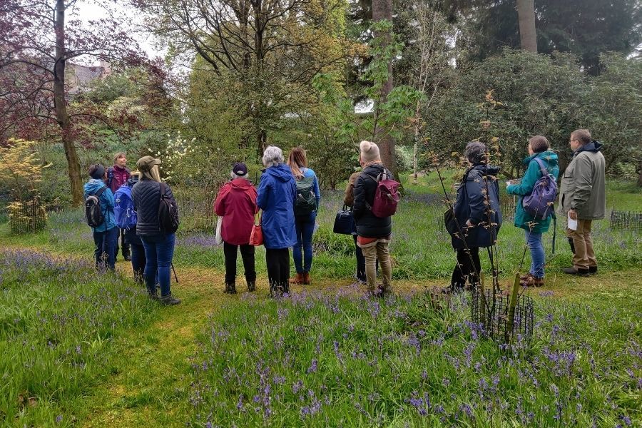 Helensburgh herbalist leads a walk of discovery around Geilston Garden