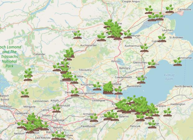 Dumbarton and Vale of Leven Reporter: Giant Hogweed Locations Map. Credit: WhatShed