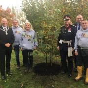 The tree was planted in CHAS Robin House grounds to mark Her Majesty's Platinum Jubilee