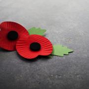 Remembrance Sunday will take place on November 12