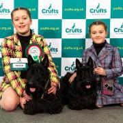 Edward and Ebony, Scottish terriers, with Daphne and Evie from Alexandria