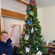 Mel decided that the Vale hospital needed an all-year round tree to decorate