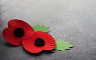 Remembrance Sunday will take place on November 12